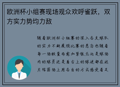 欧洲杯小组赛现场观众欢呼雀跃，双方实力势均力敌