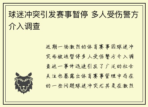 球迷冲突引发赛事暂停 多人受伤警方介入调查